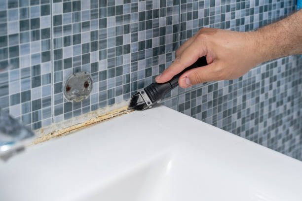 Professional Mold Removal in Freeland, WA