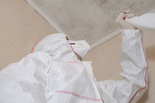 Best Toxic Mold Removal  in Freeland, WA